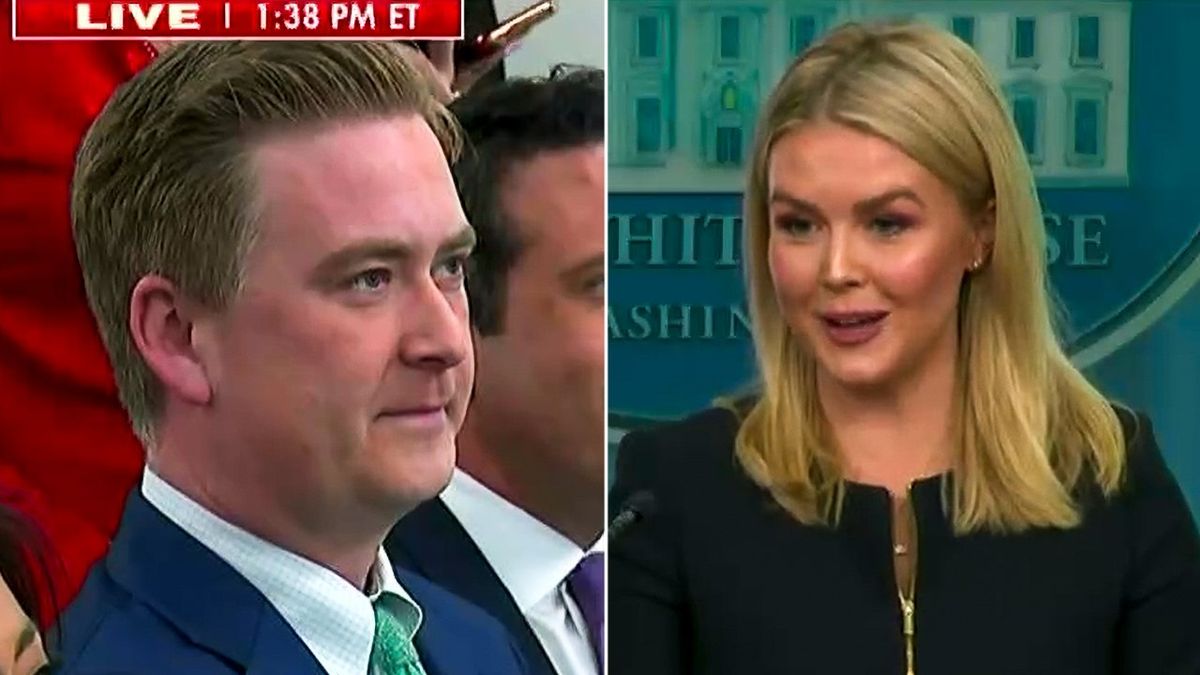 Peter Doocy challenges Karoline Leavitt because Elon Musk 'never wears a suit'