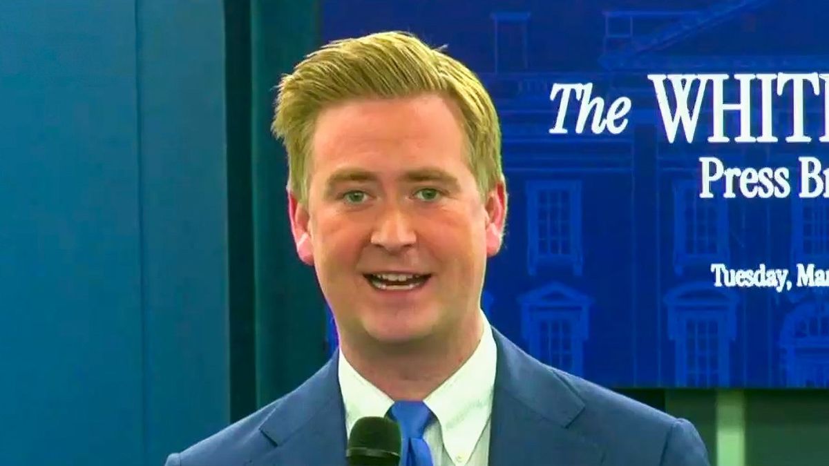 Peter Doocy turns on Trump: 'Tough' to convince workers to retire amid 'throttled' stocks