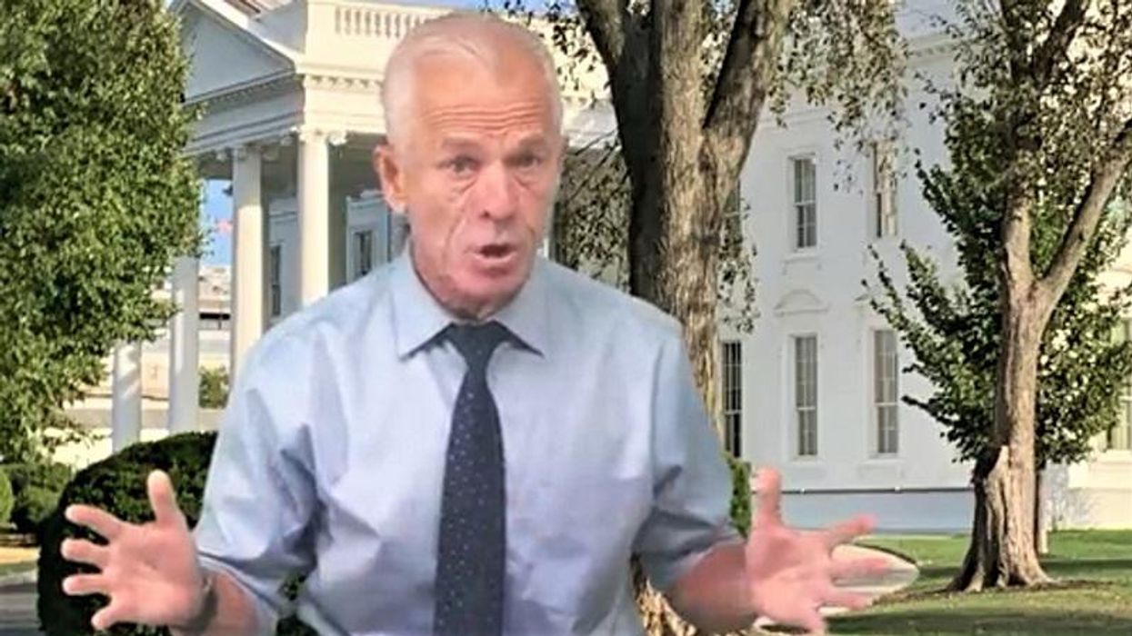 REVEALED: Peter Navarro planned conspiracy with Steve Bannon by ‘lining up over 100 congressmen’ to overthrow the election