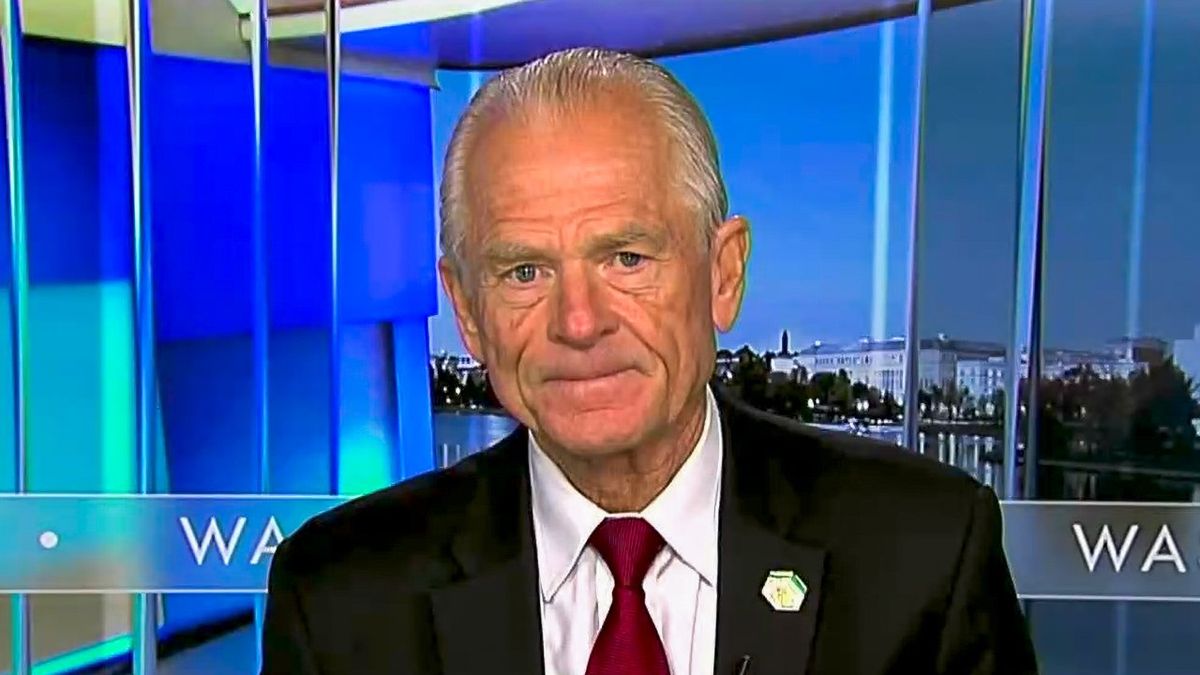 'Protecting his own interests': Navarro slams Elon for breaking with Trump on tariffs