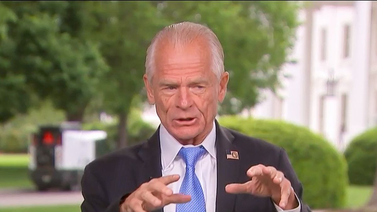 Trump adviser Peter Navarro spins shrinking GDP: 'Best negative print I've ever seen'