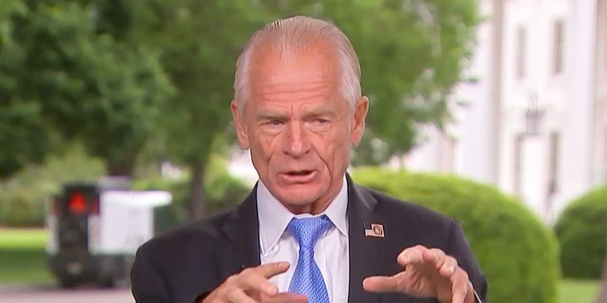 Trump adviser Peter Navarro spins shrinking GDP: 'Best negative print I've ever seen'