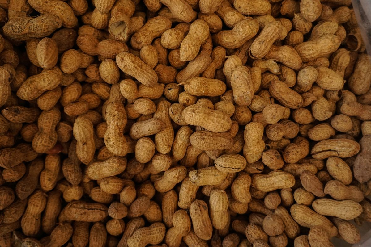 United crew member 'humiliated' passenger in dismissing son's 'life threatening' peanut allergy: complaint