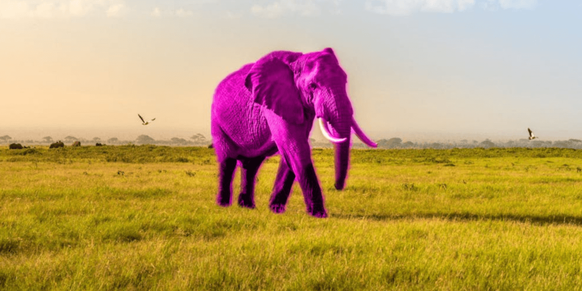 Pink Elephant Script Pink Elephant Kilbrittain : The Pink Elephant Bar & Restaurant ...