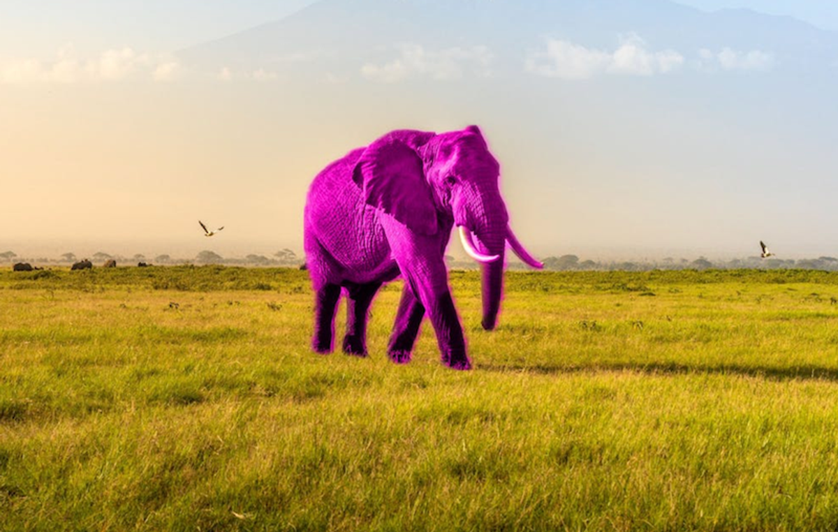 The pink elephant test: what visual imagination says about ability to control thoughts