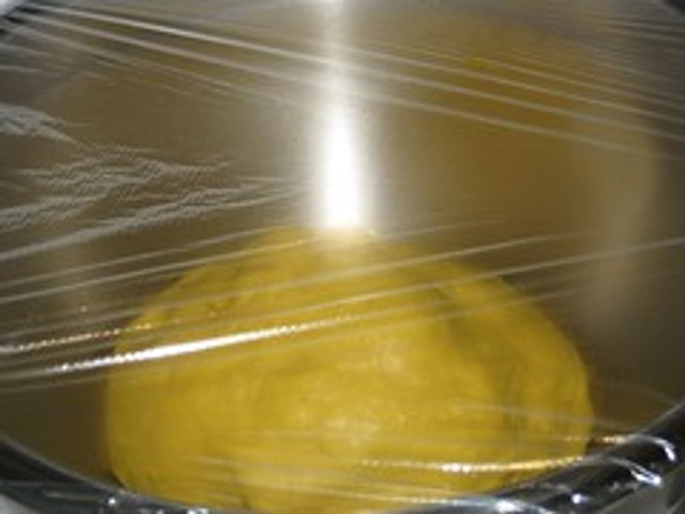 Pizza dough
