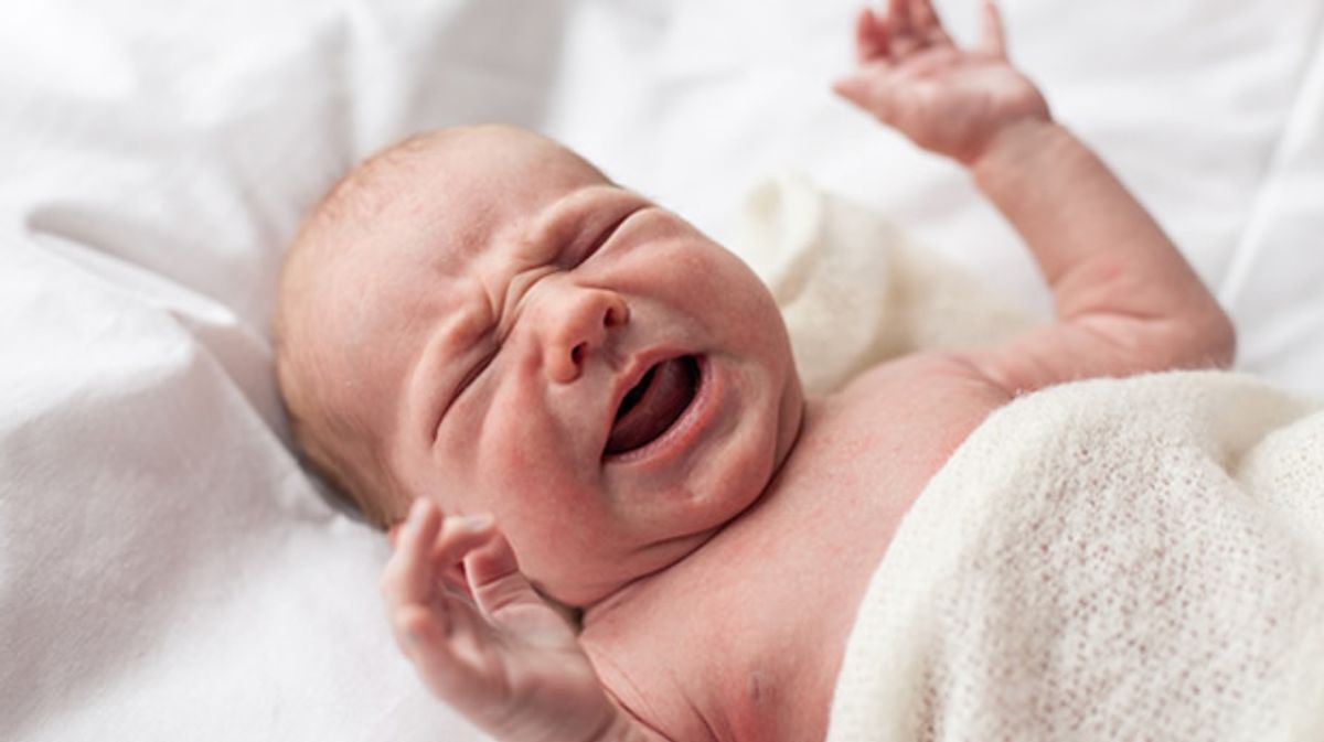 'Family separation on steroids': Expert lays into Trump plan to target newborn babies