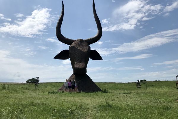 'Jesus is King': South Dakota bull statue vandalized by people who mistook it for Satanic imagery