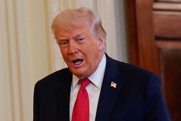 'We can stop him': Ex-staffer reveals how we can block Trump's 'most extraordinary powers'