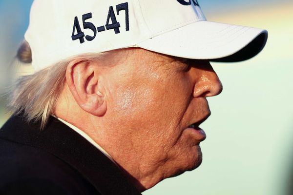 Ex-GOP operative flags Trump admin's subtle shift to appeal to MAGA base
