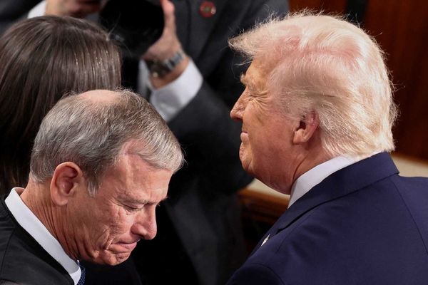 Trump's 'embarrassing loss' just a 'smoke screen' for John Roberts: analyst