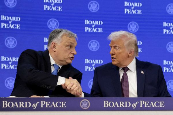 'The tears of MAGA will flow': Internet brutally mocks GOP fears over potential Orbán loss
