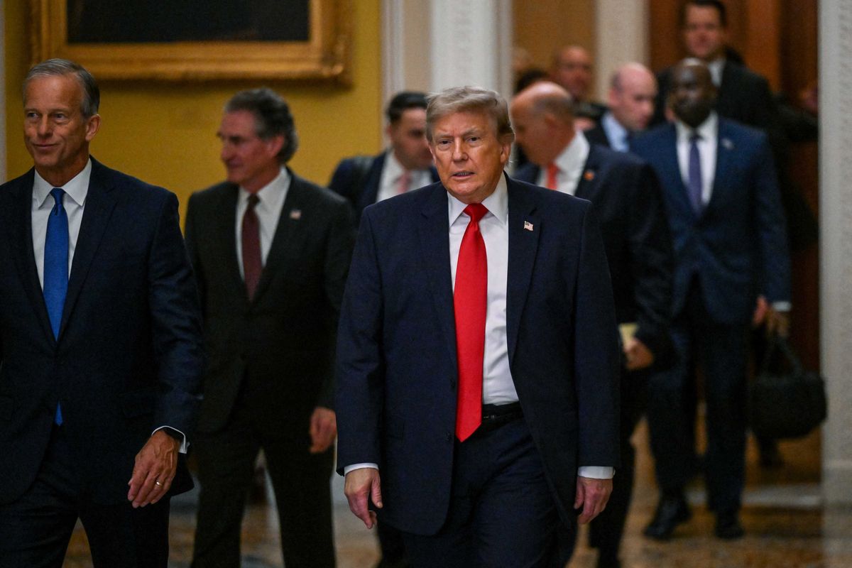 'I never said that': Trump's favorite pollster denies doomsaying prediction that came true
