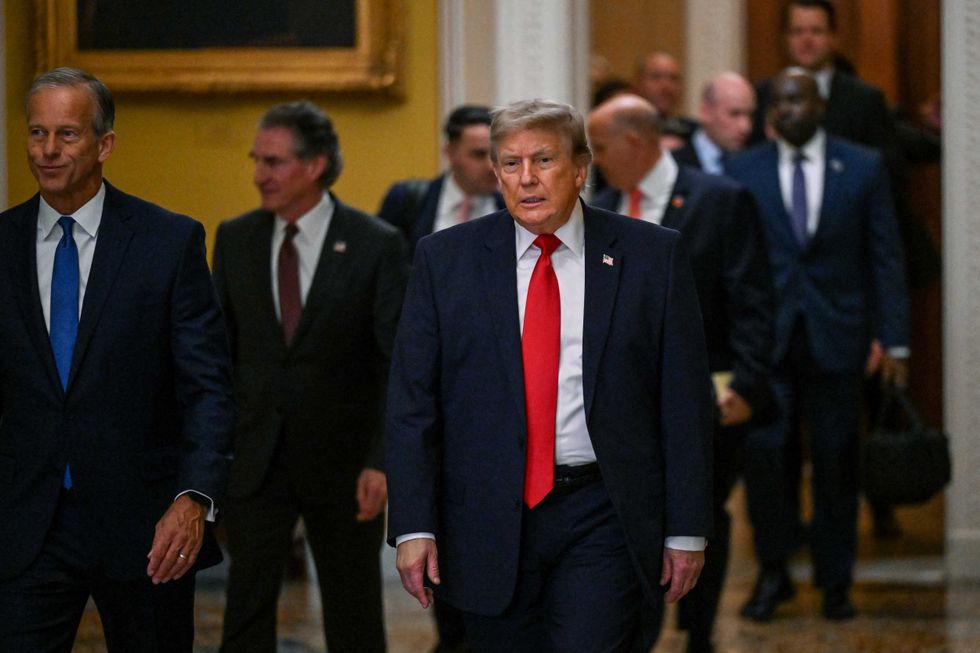 Republicans scramble to unsnarl the knot Trump created with housing bill fiasco: report