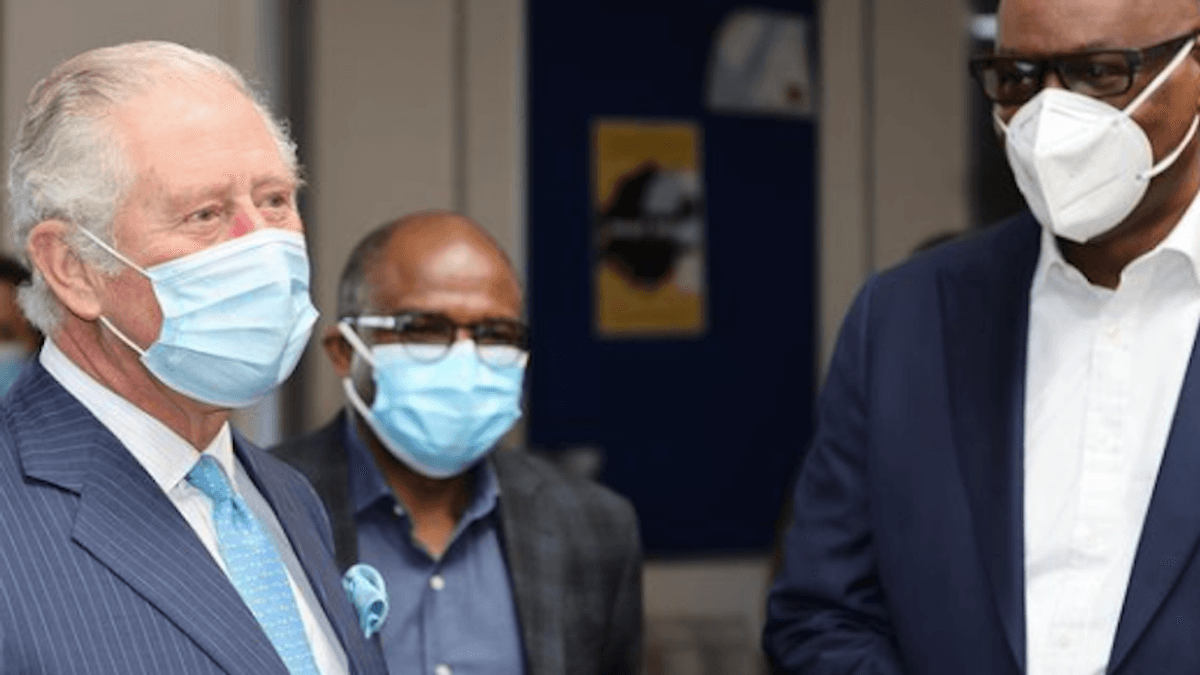 'Guess we know who said it': Prince Charles hit with furious backlash for post-interview photo-op with Black Britons