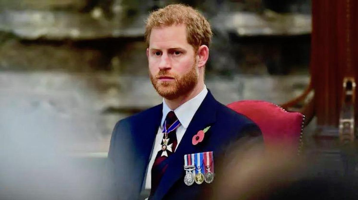 Prince Harry takes role fighting 'avalanche of misinformation'
