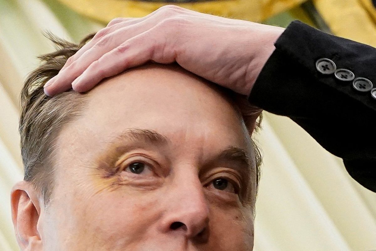 Bruised Musk echoes Trump in apparent effort at olive branch