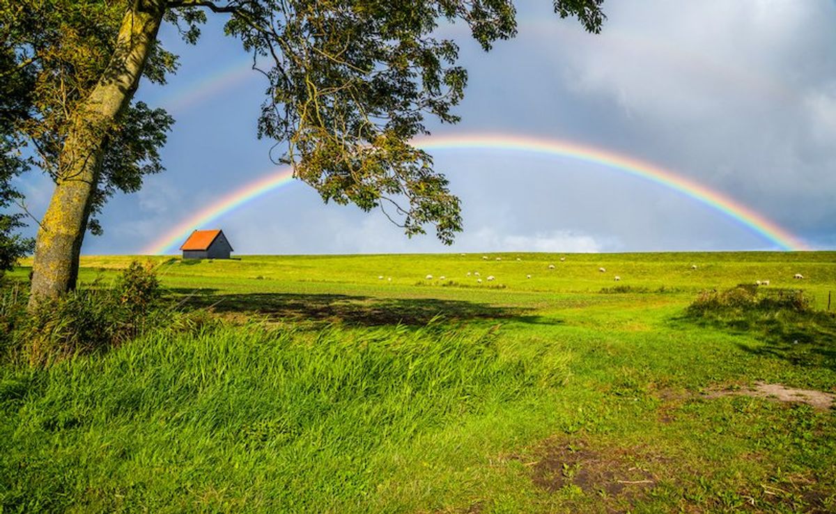 Can rainbows form in a circle? Fun facts on the physics of rainbows