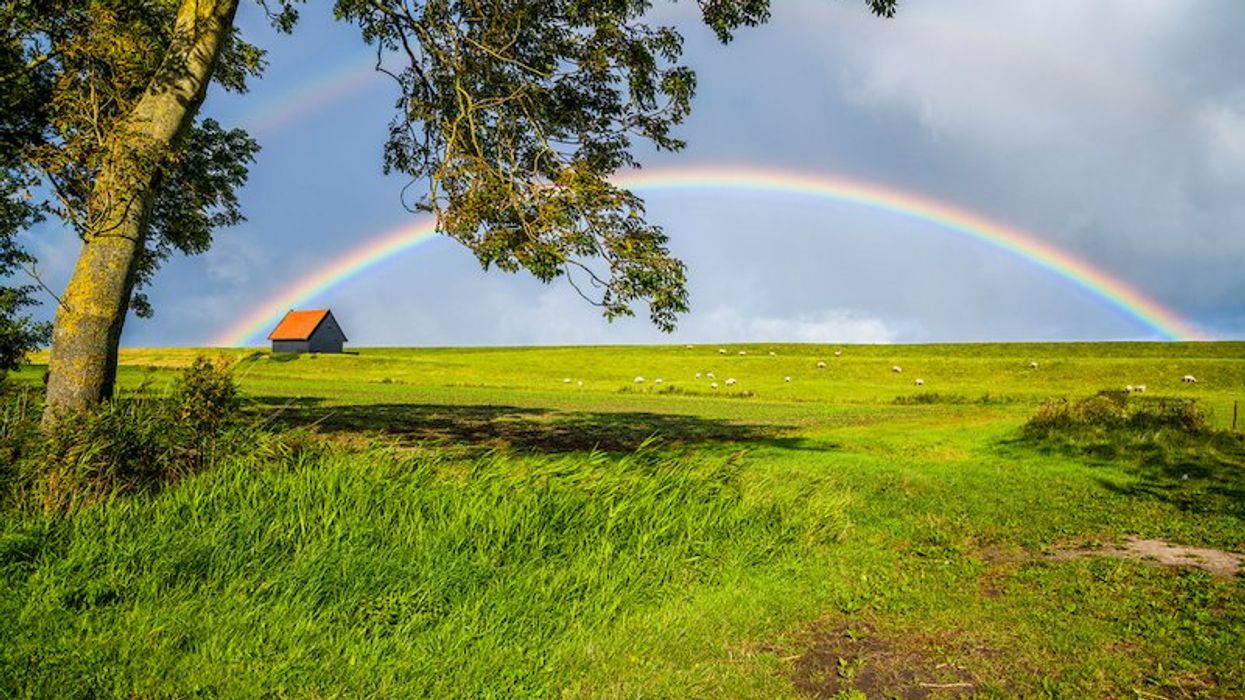 Can rainbows form in a circle? Fun facts on the physics of rainbows