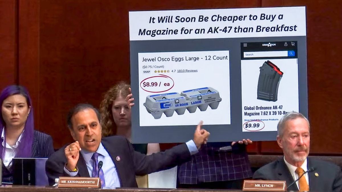 'Cheaper to buy a magazine for an AK-47': Dem hits Trump on egg costs at oversight hearing
