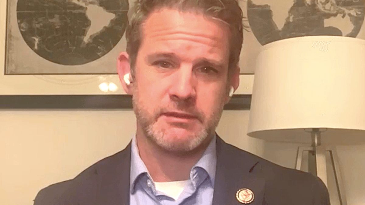 GOP's Adam Kinzinger rips Capitol police for failing to recognize threat from Trump supporters