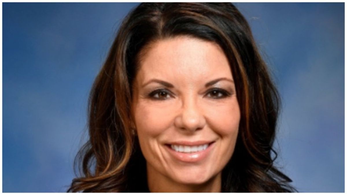'Alarm bell for democracy': Election denier appointed to Michigan House GOP campaign panel