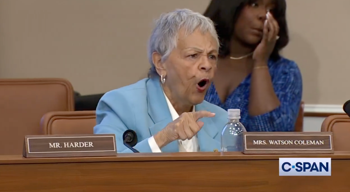 'Body slammed!' Dem lawmaker praised for takedown of ed secretary Linda McMahon