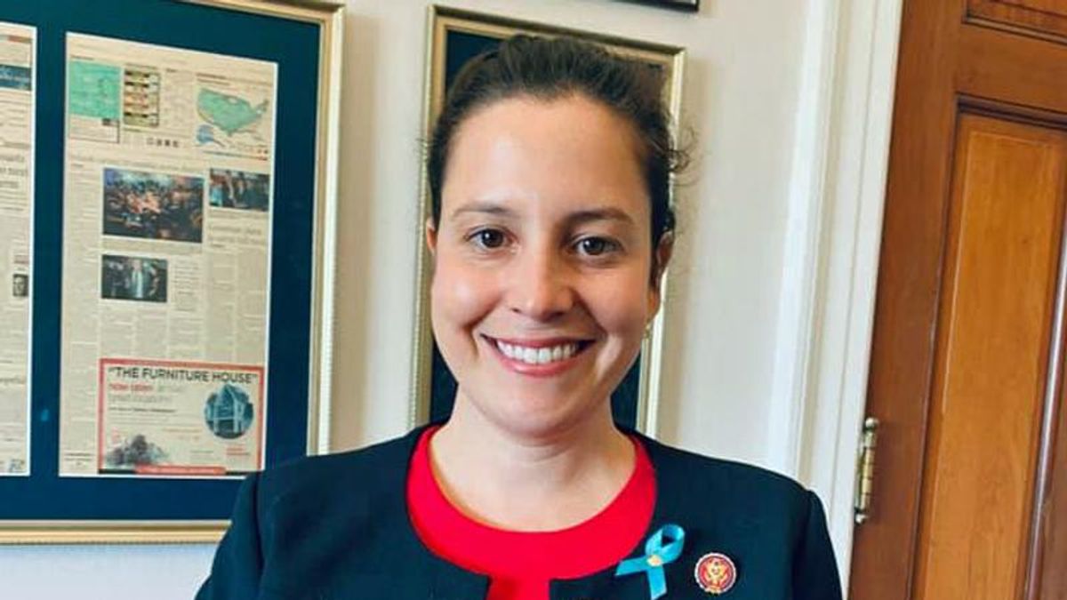 'Utter BS': Former Tea Party lawmaker tears into Elise Stefanik's lavish praise of Trump