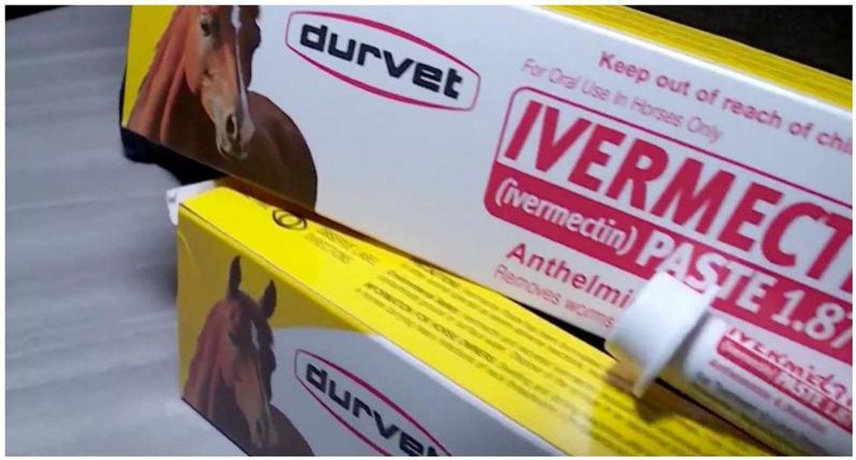 Man whose wife sued hospital to force it to administer ivermectin dies of COVID-19