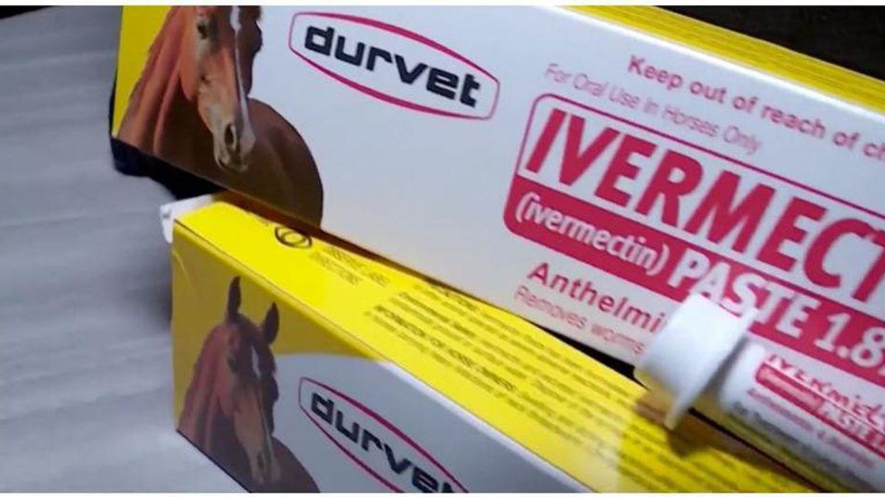 Ivermectin believers have become 'radicalized' and now advocate 'inhaling food-grade hydrogen peroxide': reporter