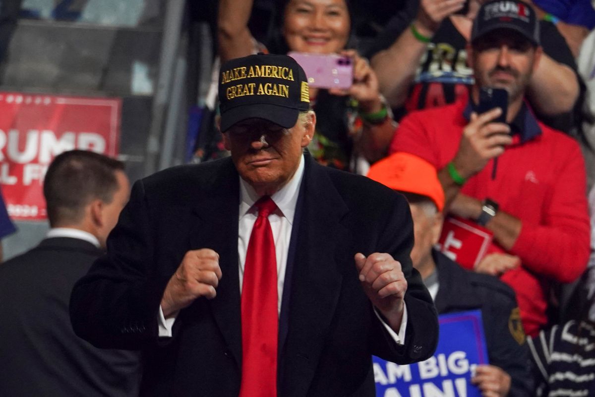 This one Trump policy could have blown election he should be 'running away with': analyst