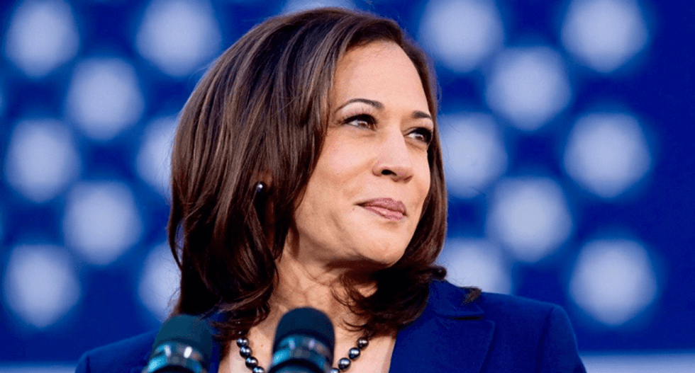 'They hate pies': Fox News contributor rants about Kamala Harris’ gas stove photo