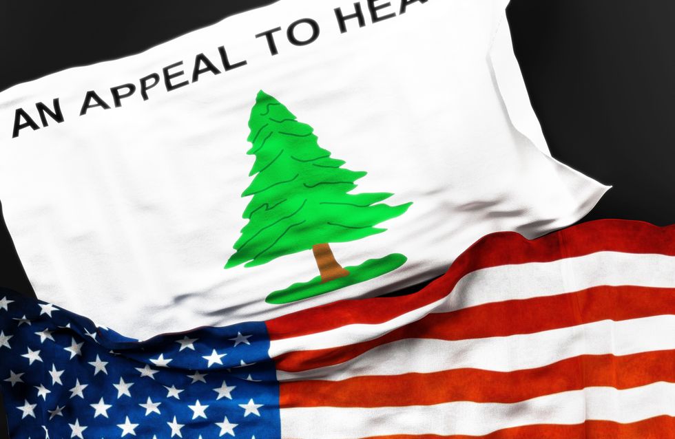 Outrage as flag linked to Christian nationalism flies at Education Dept