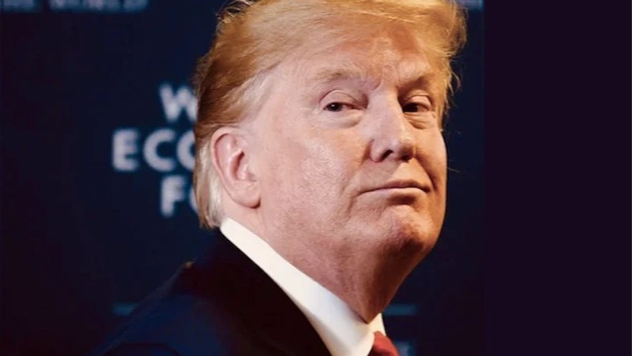'Gives new meaning to document dump': Do Trump 'toiletgate' revelations explain his 'absurd' rants about flushing?