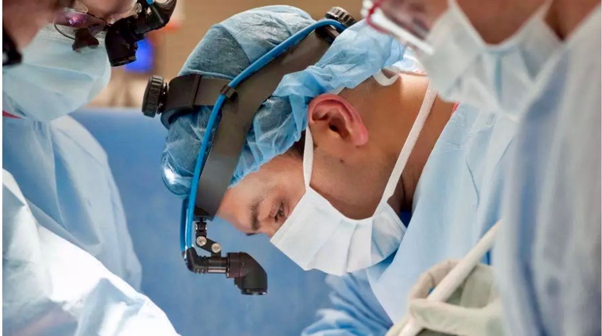 Two pig heart transplants succeed in brain-dead recipients