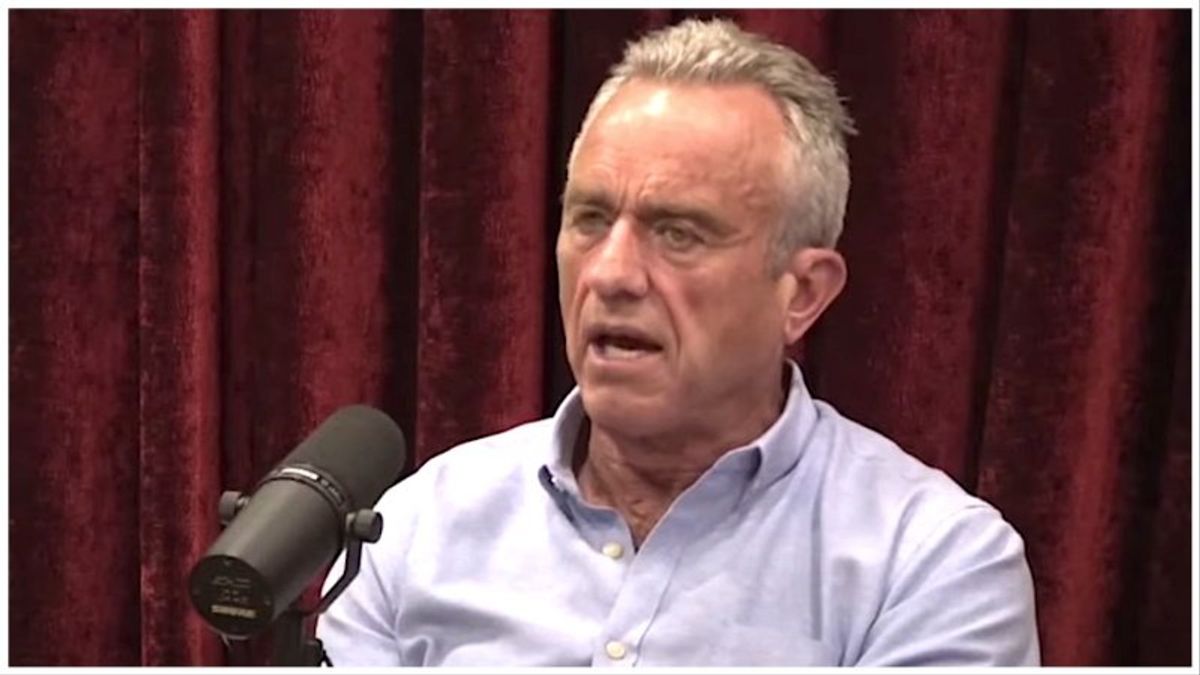 Voters’ distaste for 'dangerous,' 'nutjob' RFK Jr. is growing: report
