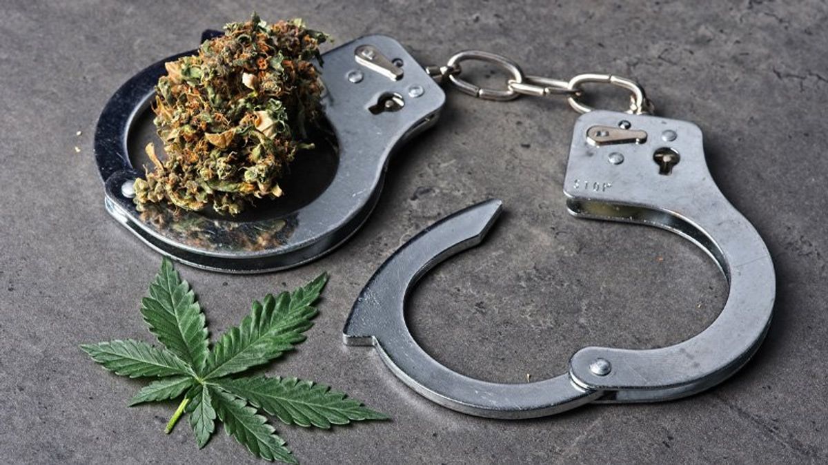 Michigan Republican admits to taking bribes while overseeing state medical cannabis board