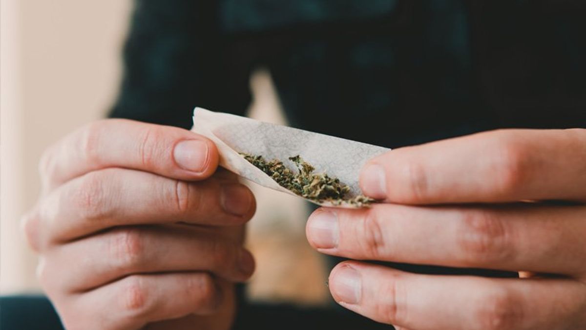 Daily cannabis use linked to boosted risk of heart disease