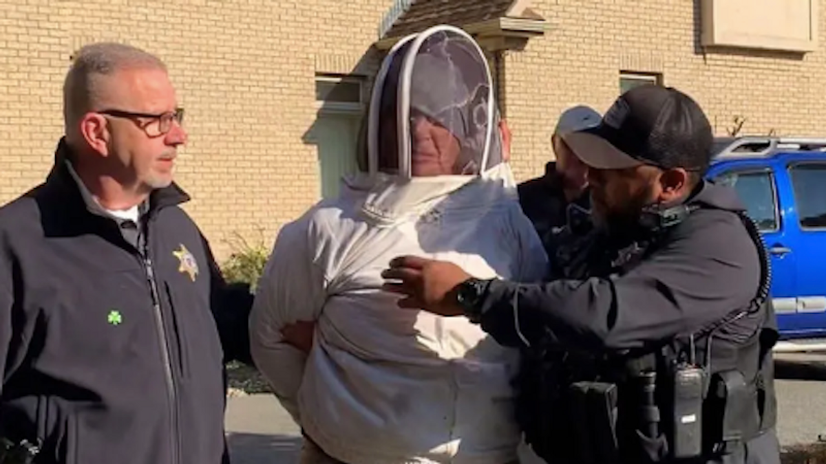 'You're allergic? Good': Woman unleashes bees on deputies serving eviction notice