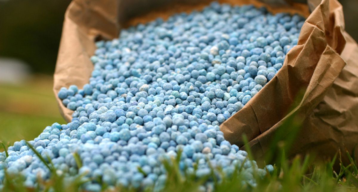 Reducing nitrogen use key to human and planetary health: study