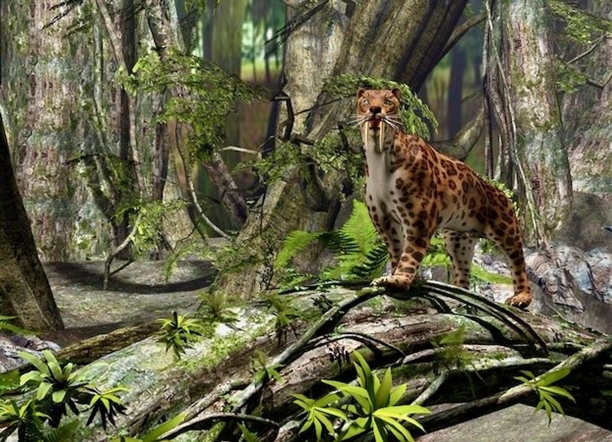 New research reveals why saber-toothed predators evolved their deadly teeth