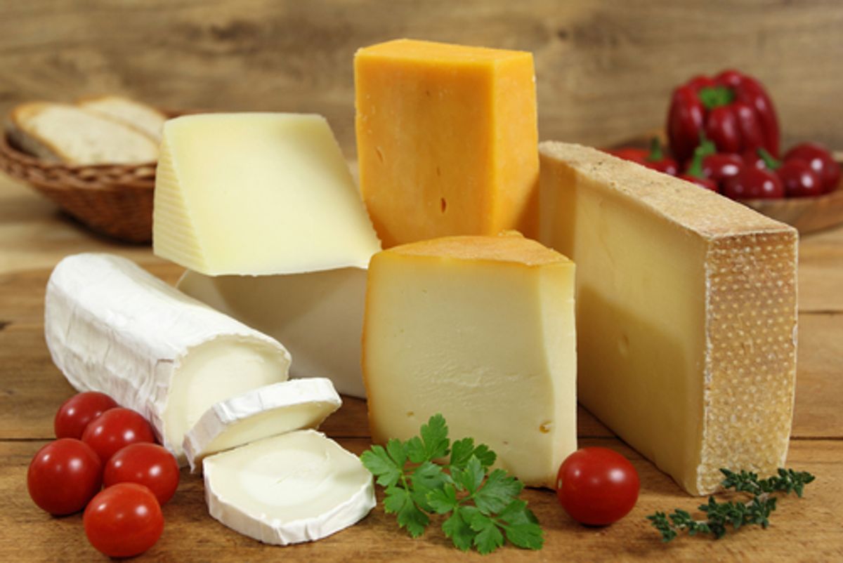 Cheesemaking is a complex science – the process from milk to mozzarella