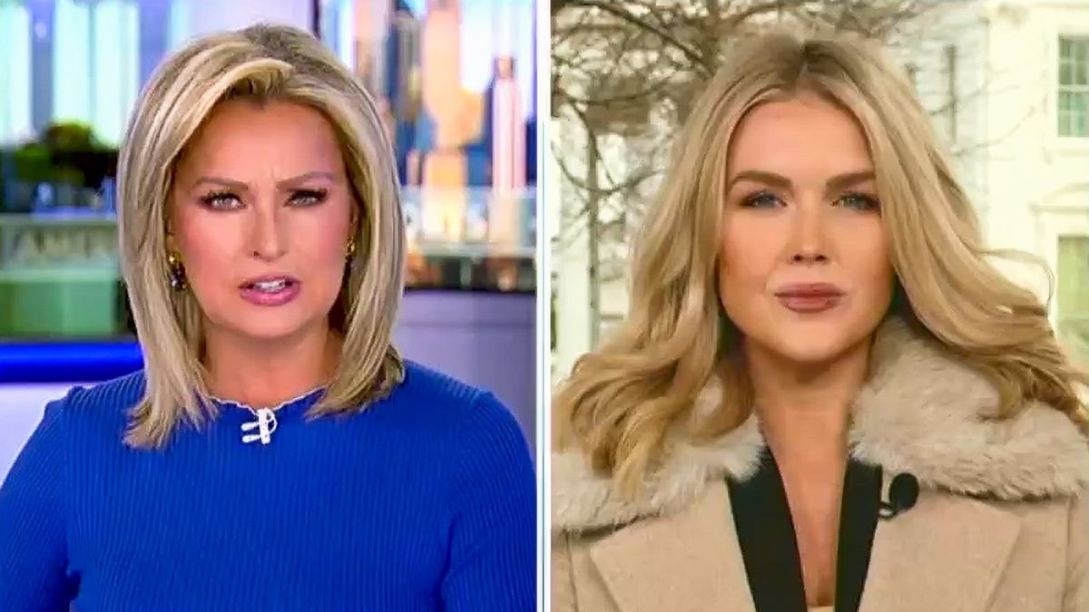 'He doesn't work for DOGE at all': Fox News host grills Karoline Leavitt over Musk's role