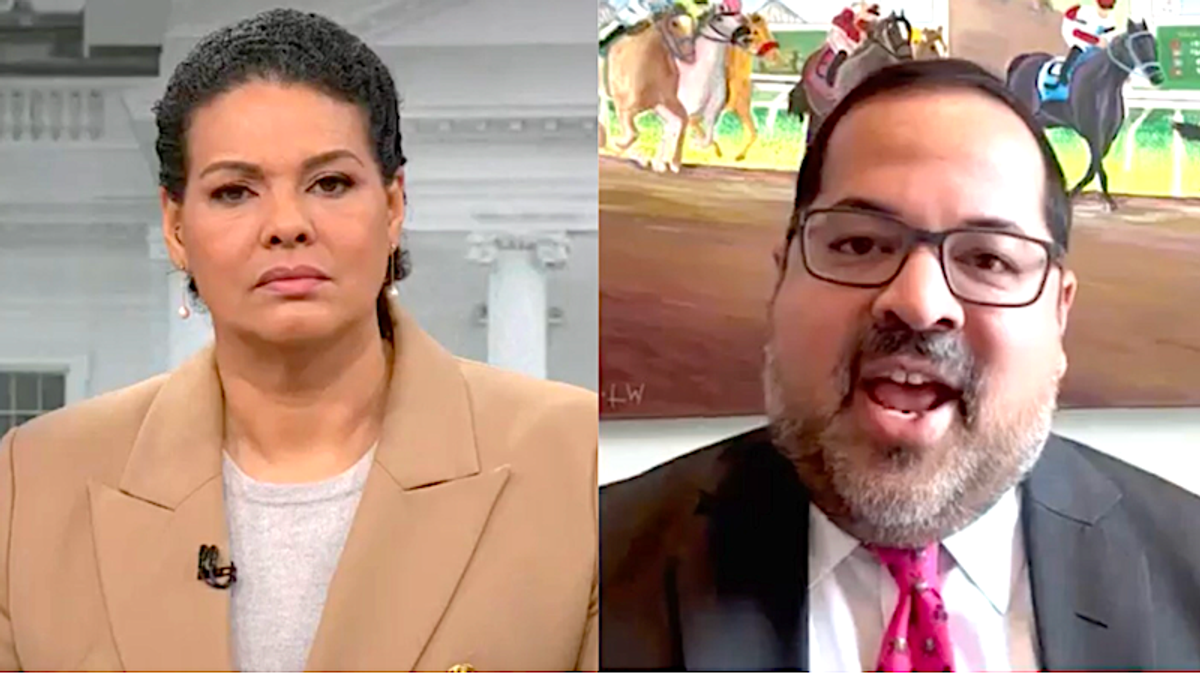 'That's one take': CNN host gives 'side eye' to GOP strategist's analysis of MAGA clash