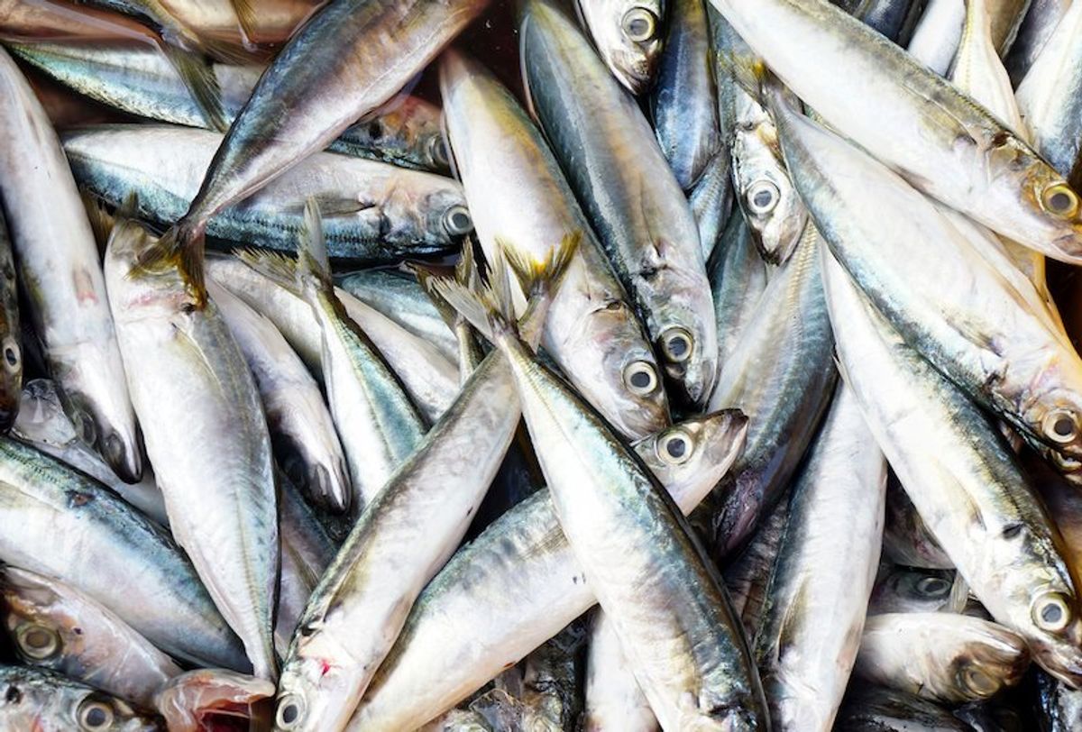 Sardine dish poisons diner to death in France