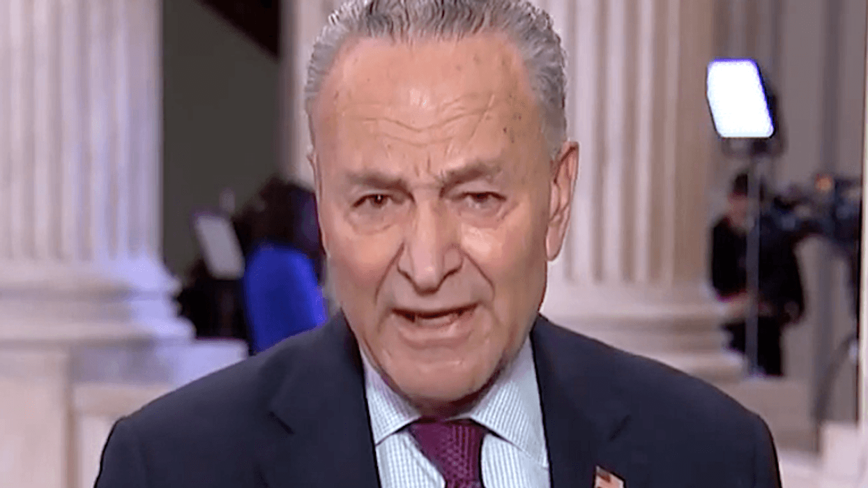 Internet incredulous after Democrats back off calling Trump trial witnesses