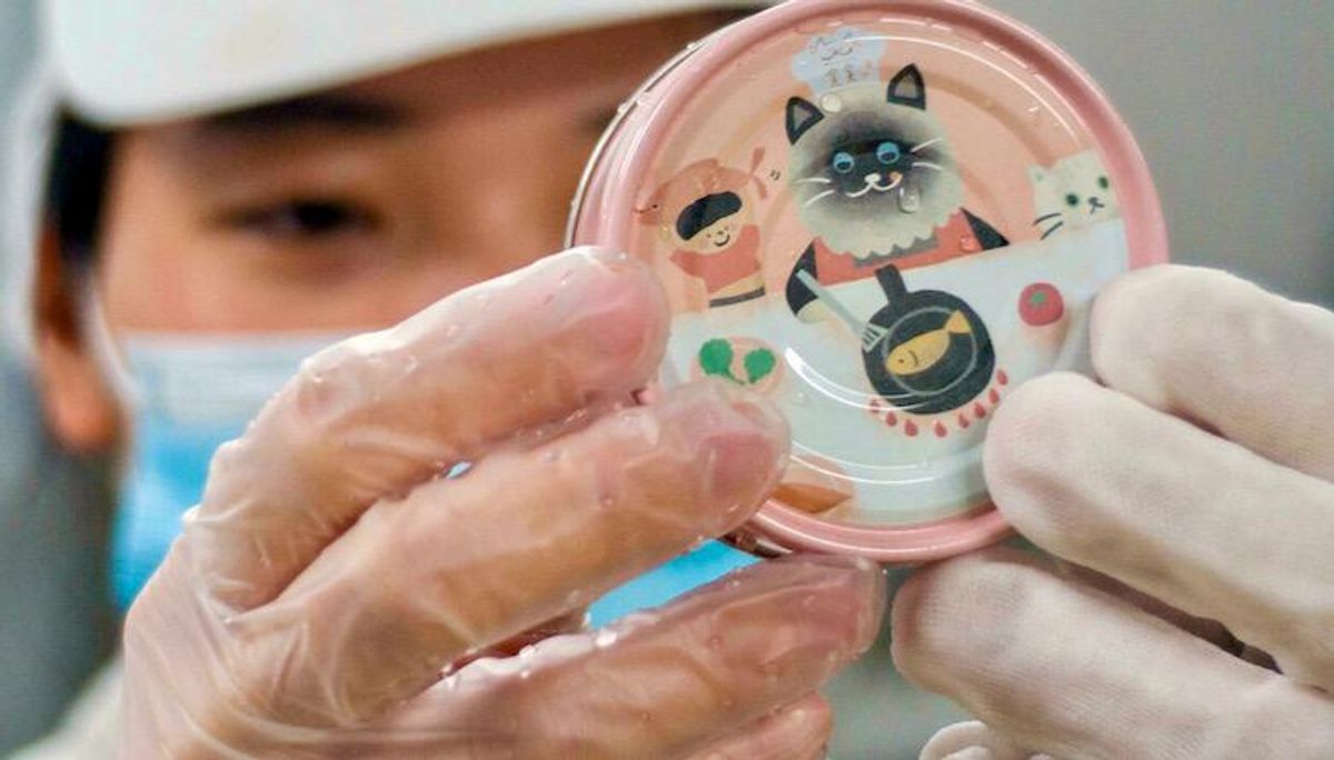 Silkworm cat grub smells like success Raw Story