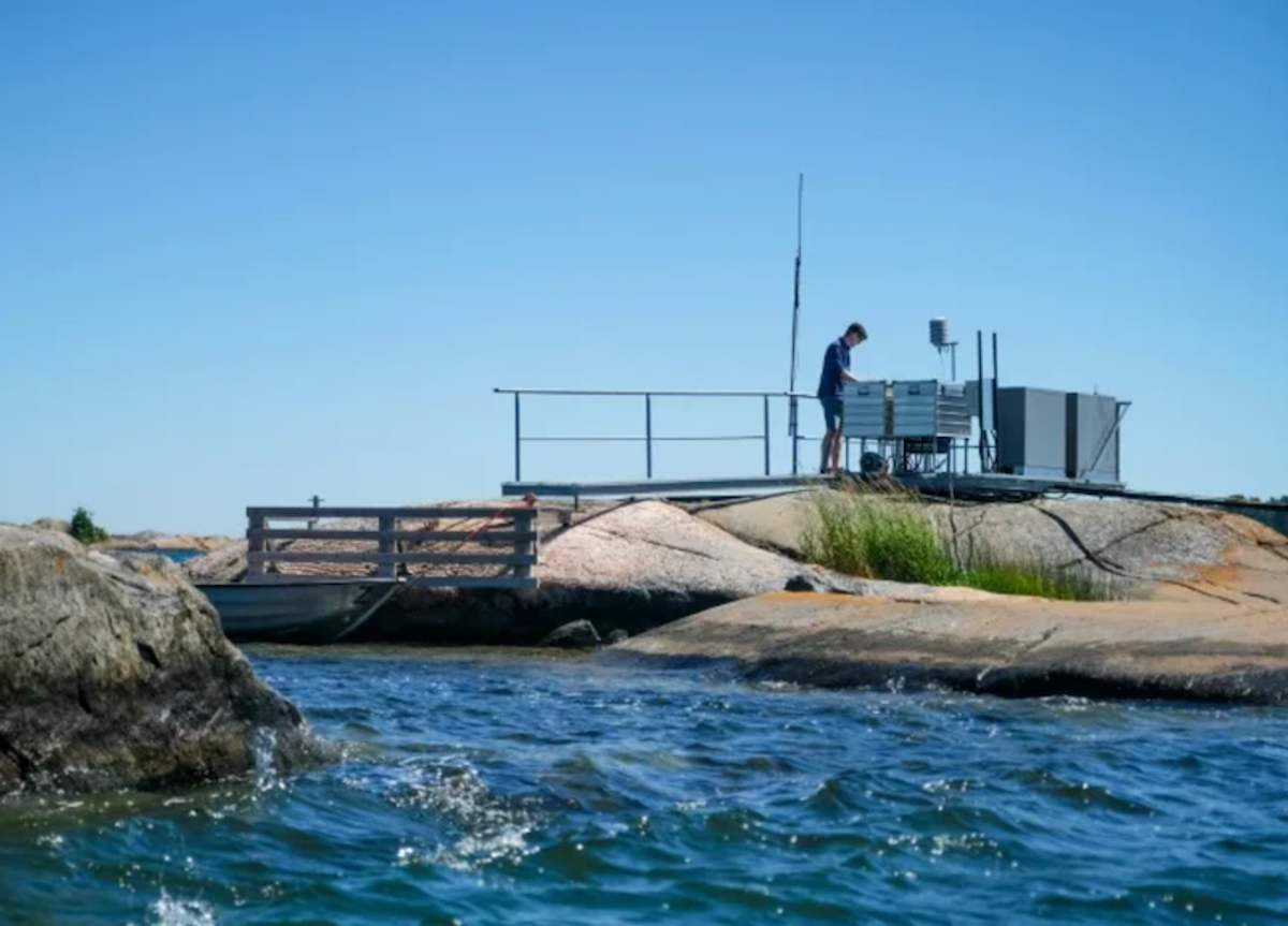 Warming Baltic Sea: a red flag for global oceans