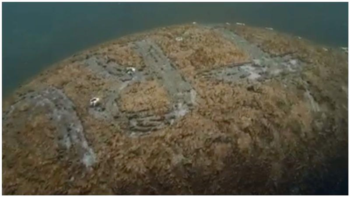 Federal officials searching for person who carved 'Trump' into the back of a manatee