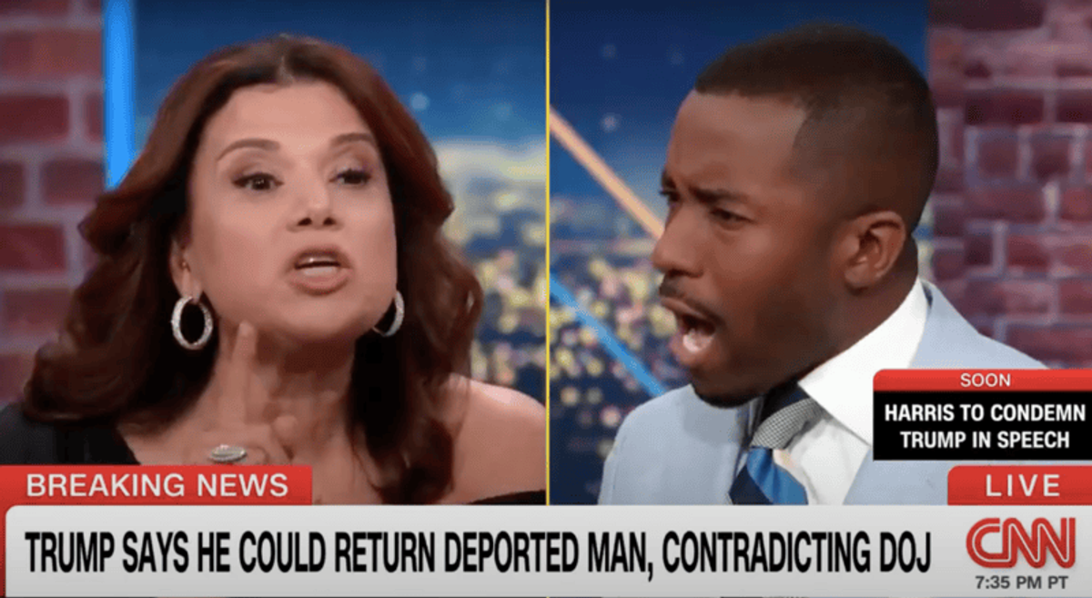 'Do you really want to go there!': CNN panel melts down as two Republicans clash over race